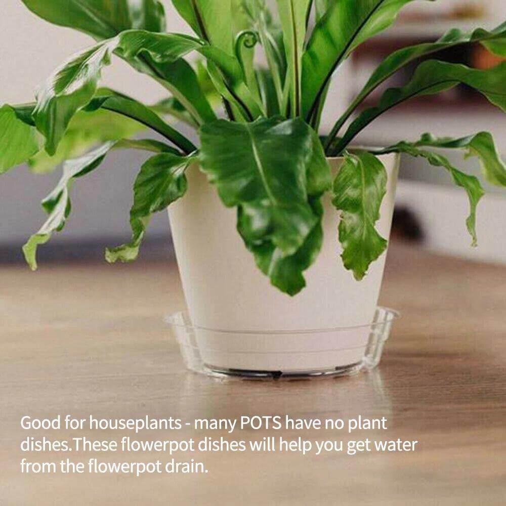 10-Piece Clear Plastic Planter Saucer Set