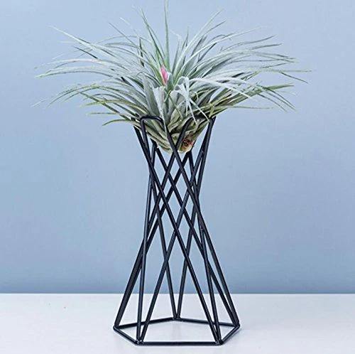 Twisted Geometric Metal Air Plant Stand