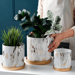 Golden Maze Flower Pots Collection