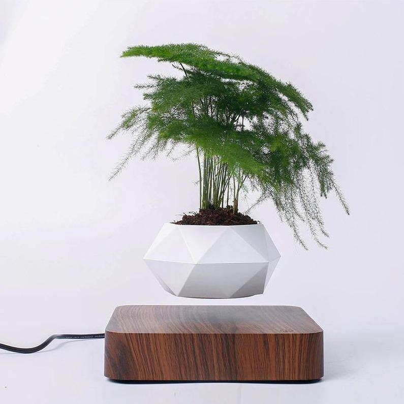 Magnetic Levitating Planter Sienna / US Plug | Sage & Sill