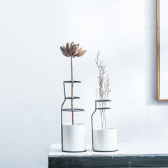 Adela Vases