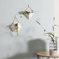 Geometric Hanging Terrarium