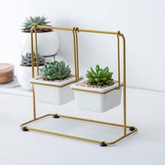 Succulent Swing Planter Gold / B | Sage & Sill